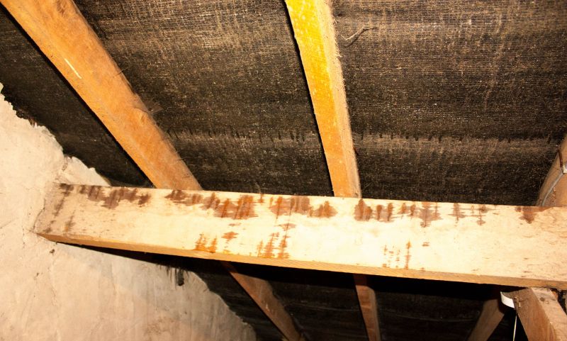 Leaking Ceiling Repair in Santa Rosa, CA